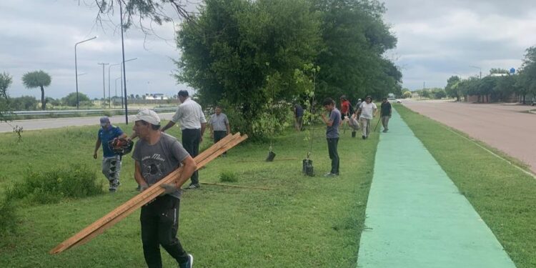 Concluyó la forestación en cercanías del barrio La Ribera de Villa Mercedes