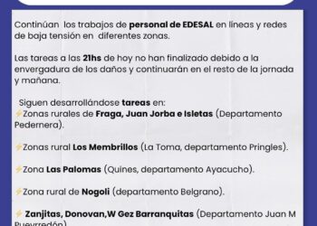 Reporte EDESAL destrozos por el temporal