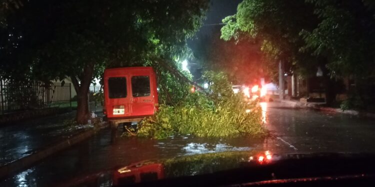La Ciudad, afectada por el temporal