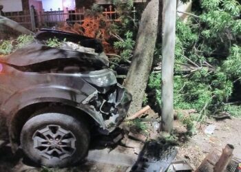 Impactó la camioneta contra un árbol. Le dio positivo  el alcotest
