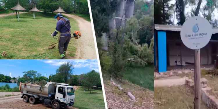 Diques: Algunos si… ¿otros no?