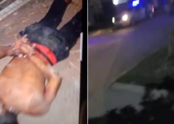 Asi atrapan al presunto ladrón en uno de los techos del barrio Remedios Escalada