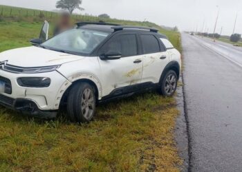 Un automóvil chocó contra un cerdo en la Autopista de las Serranías Puntanas