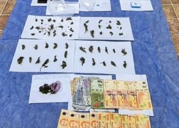 Incautaron droga valuada en más de un millón de pesos