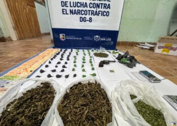 La Policía incautó droga valuada en casi 4 millones de pesos