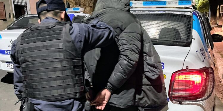 Demoraron a un individuo por provocar disturbios en la vía pública