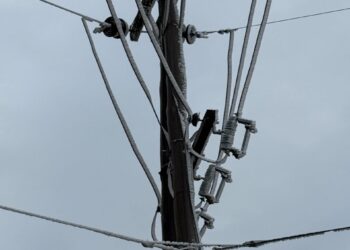 Una semana de frío sin problemas en sistema eléctrico