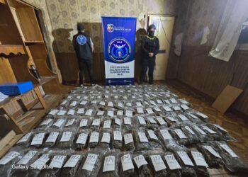 La Policía incautó más de 640 millones de pesos en droga en Villa Mercedes