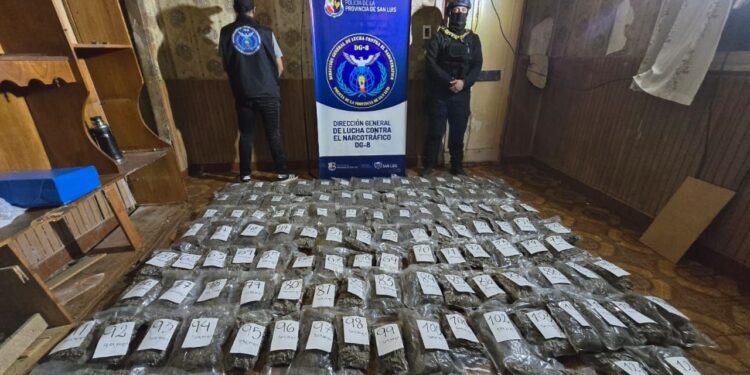 La Policía incautó más de 640 millones de pesos en droga en Villa Mercedes