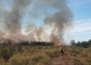 Labraron una infracción por quema de malezas no autorizada