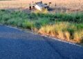 Vuelco sin heridos en Ruta Provincial N°11