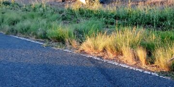 Vuelco sin heridos en Ruta Provincial N°11