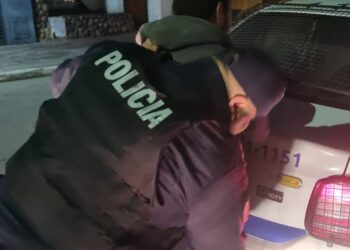 Detuvieron a un individuo que robó en un negocio