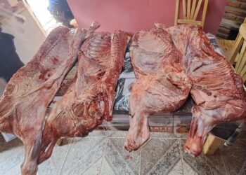 Allanamientos en Villa Mercedes por faena ilegal de ganado