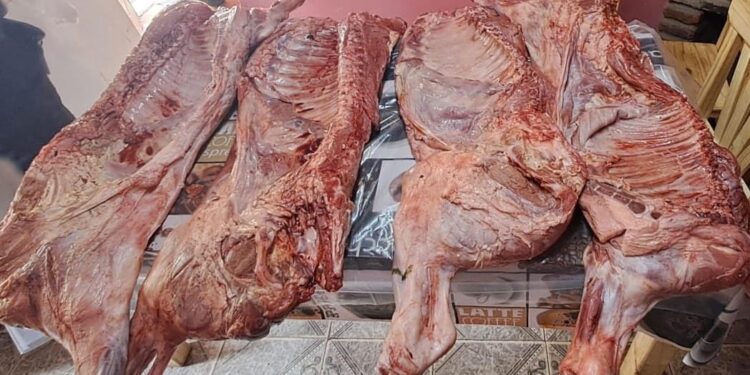 Allanamientos en Villa Mercedes por faena ilegal de ganado