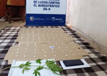 ncautaron droga valuada en 800 mil pesos y detuvo a un sujeto