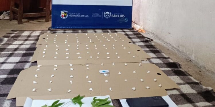 ncautaron droga valuada en 800 mil pesos y detuvo a un sujeto