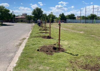 Forestaron el Club Deportivo La Ribera de Villa Mercedes