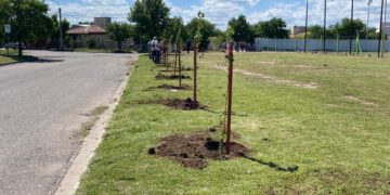 Forestaron el Club Deportivo La Ribera de Villa Mercedes