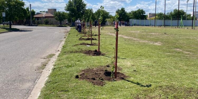 Forestaron el Club Deportivo La Ribera de Villa Mercedes