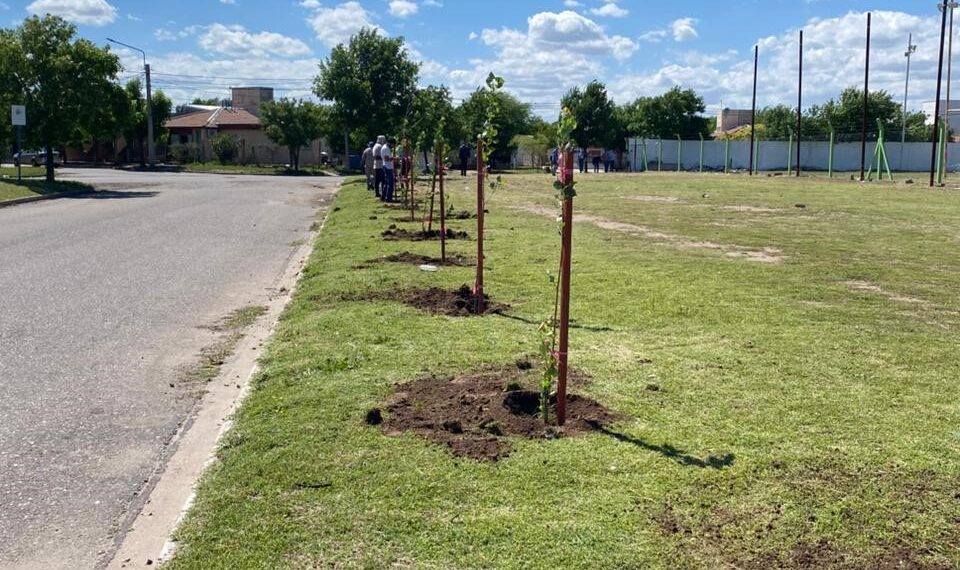 Forestaron el Club Deportivo La Ribera de Villa Mercedes