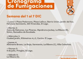 Cronograma de Fumigaciones en prevención del Dengue