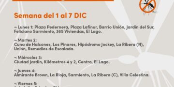 Cronograma de Fumigaciones en prevención del Dengue