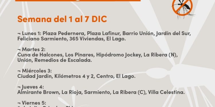 Cronograma de Fumigaciones en prevención del Dengue