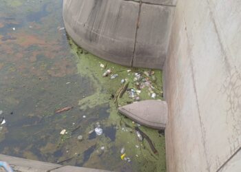 San Luis Agua desarrolló trabajos de mantenimiento en el dique Vulpiani