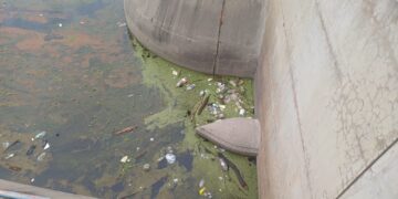 San Luis Agua desarrolló trabajos de mantenimiento en el dique Vulpiani