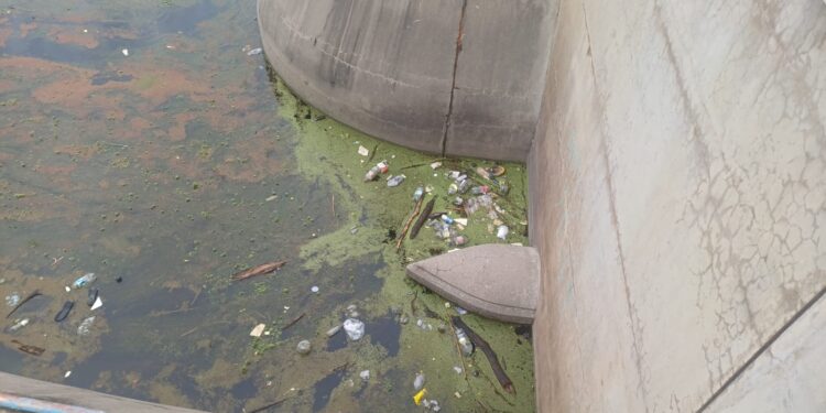 San Luis Agua desarrolló trabajos de mantenimiento en el dique Vulpiani