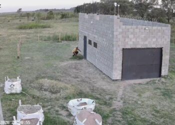 Vecinos del barrio Eva Perón reclaman mayor seguridad ante reiterados robos