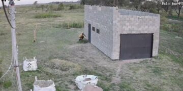 Vecinos del barrio Eva Perón reclaman mayor seguridad ante reiterados robos