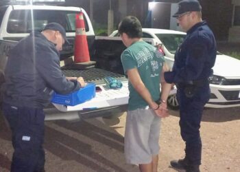 Demoraron a dos jóvenes que intentaron robar en una vivienda