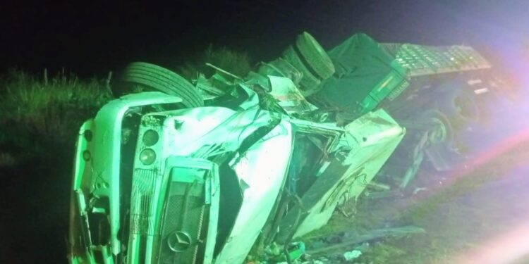 Un camión volcó en la Autopista de las Serranías Puntanas; no hubo personas heridas