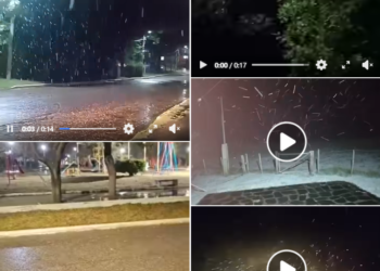 Nieve en distintos puntos de la provincia!