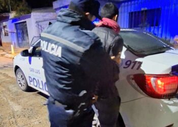 La Policía demoró a un joven que intentó robar en un domicilio