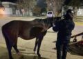 Pusieron al resguardo a un equipo en malas condiciones y secuestraron un carro
