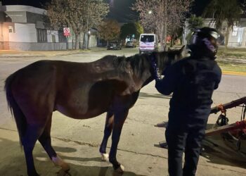 Pusieron al resguardo a un equipo en malas condiciones y secuestraron un carro
