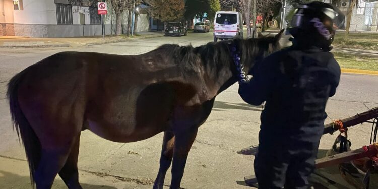Pusieron al resguardo a un equipo en malas condiciones y secuestraron un carro