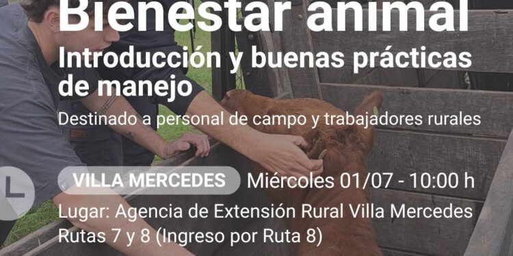 Dictarán una capacitación gratuita sobre bienestar animal para trabajadores rurales en San Luis y Villa Mercedes
