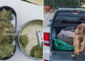 La Cumbre: un can de la Policía detectó droga que era transportada en una camioneta