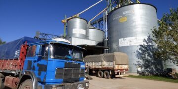 AgroZAL superó las 50 mil toneladas de maíz almacenadas en una semana