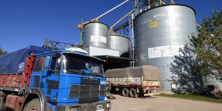 AgroZAL superó las 50 mil toneladas de maíz almacenadas en una semana