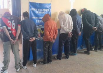 Una joven detenida y seis demorados por una causa de robo calificado