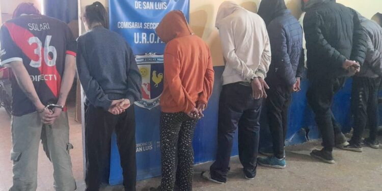 Una joven detenida y seis demorados por una causa de robo calificado