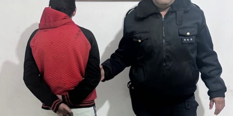 Agredió a una mujer policía y fue demorado