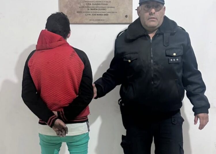 Agredió a una mujer policía y fue demorado