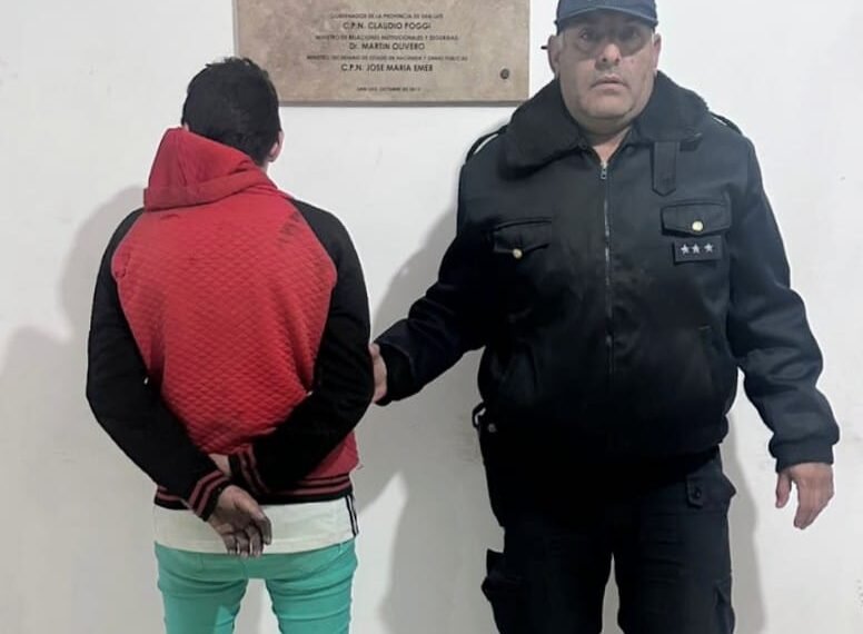 Agredió a una mujer policía y fue demorado