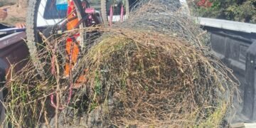 Se llevaban un alambrado perimetral de un domicilio. Fueron demorados